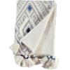 Amazon Brand – Stone & Beam Hand-Woven Global Embroidered Throw Blanket 100% Cotton, Gray, 50″W x 60″L