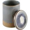Amazon Brand – Stone & Beam Organic-Shape Stoneware Round Decorative Organizer Box, 6.4 Inch Height, Blue and Gray