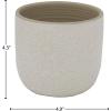 Amazon Brand – Stone & Beam Small Floral-Embossed Planter, 4.3″H, Cloud Dancer White