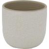 Amazon Brand – Stone & Beam Small Floral-Embossed Planter, 4.3″H, Cloud Dancer White