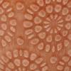 Amazon Brand – Stone & Beam Cylindrical Small Floral-Embossed Planter, 4.3″H, Arabesque Coral Pink