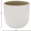Amazon Brand – Stone & Beam Large Floral-Embossed Planter, 7.5″H, Cloud Dancer White