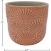 Amazon Brand – Stone & Beam Medium Fan-Embossed Planter, 6″H, Arabesque Coral Pink