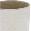 Amazon Brand – Stone & Beam Medium Floral-Embossed Cylindrical Planter, 6″H, Cloud Dancer White