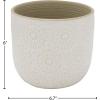 Amazon Brand – Stone & Beam Medium Floral-Embossed Cylindrical Planter, 6″H, Cloud Dancer White