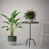 Amazon Brand – Stone & Beam Mid-Century Two-Toned Planter, 10.53″H, Teal Green