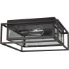 Amazon Brand – Stone & Beam Industrial Rectangle Cage Flush Mount Indoor Ceiling Fixture With 2 Light Bulbs – 15.25 x 15.25 x 6.5 Inches, Oil-Rubbed Bronze