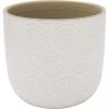 Amazon Brand – Stone & Beam Large Floral-Embossed Planter, 7.5″H, Cloud Dancer White