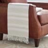 Amazon Brand – Stone & Beam Striped Throw Blanket, Soft and Easy Care, 80″ x 60″, Fringed, Natural